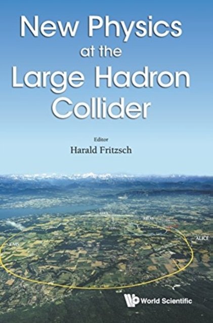 New Physics at the Large Hadron Collider