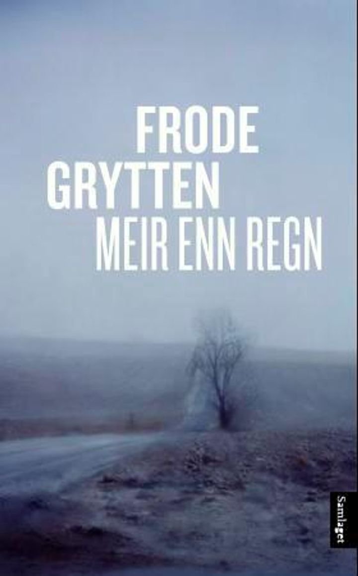 Meir enn regn - noveller