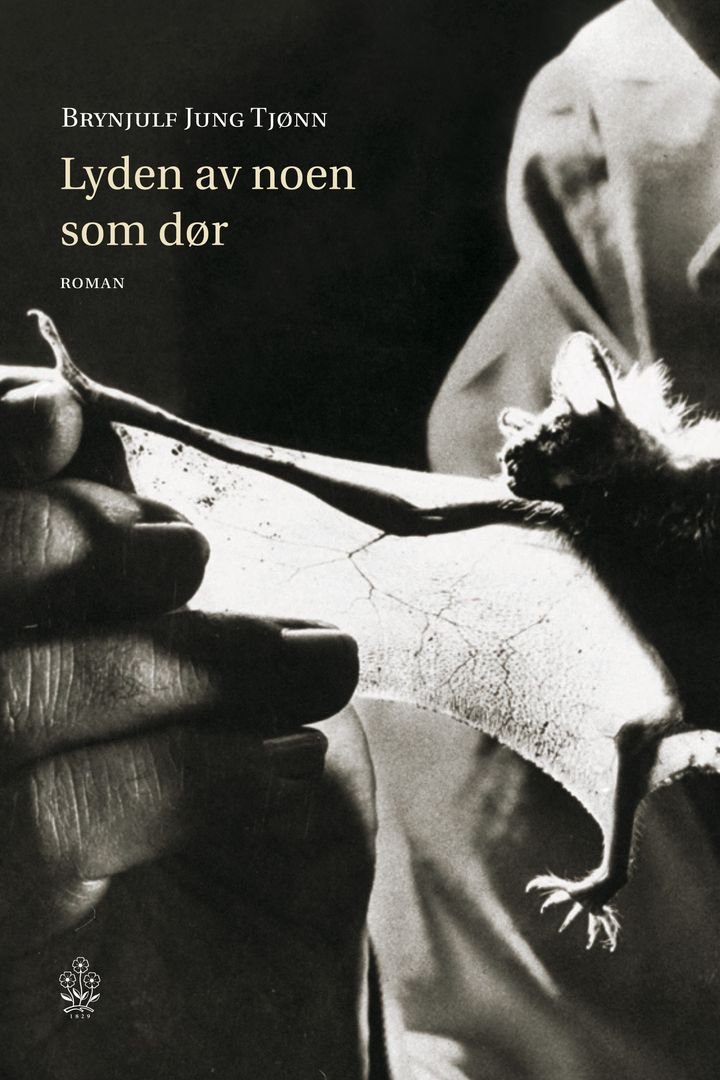 Lyden av noen som dør - roman