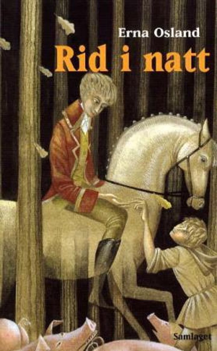 Rid i natt - roman