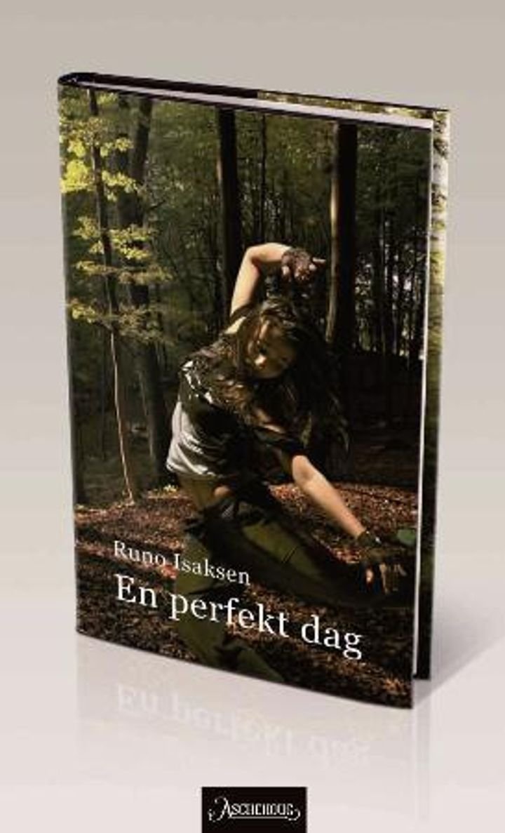 En perfekt dag - roman