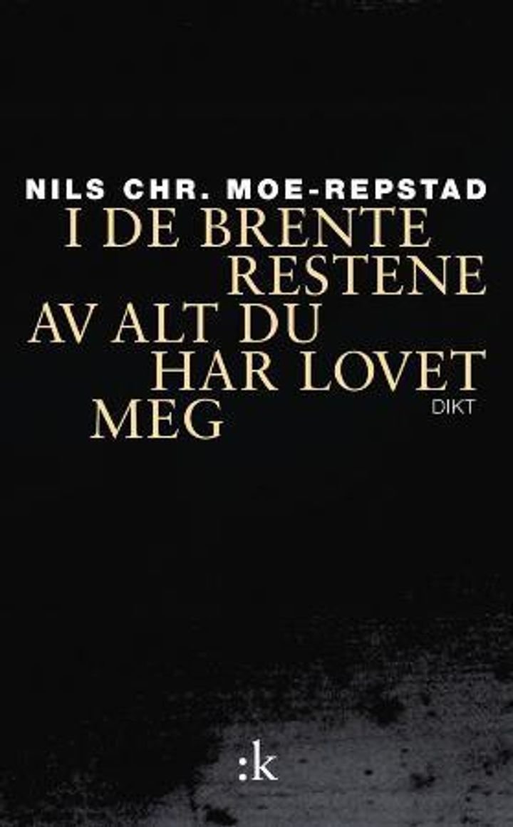 I de brente restene av alt du har lovet meg - dikt