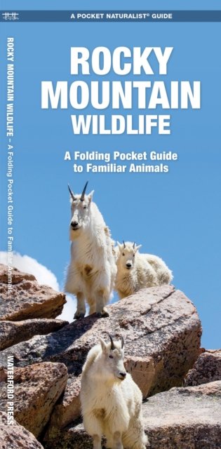 Rocky Mountain Wildlife