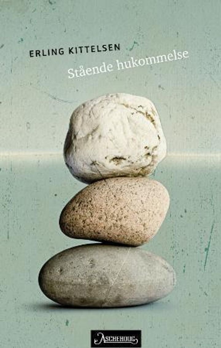 Stående hukommelse - livsroman