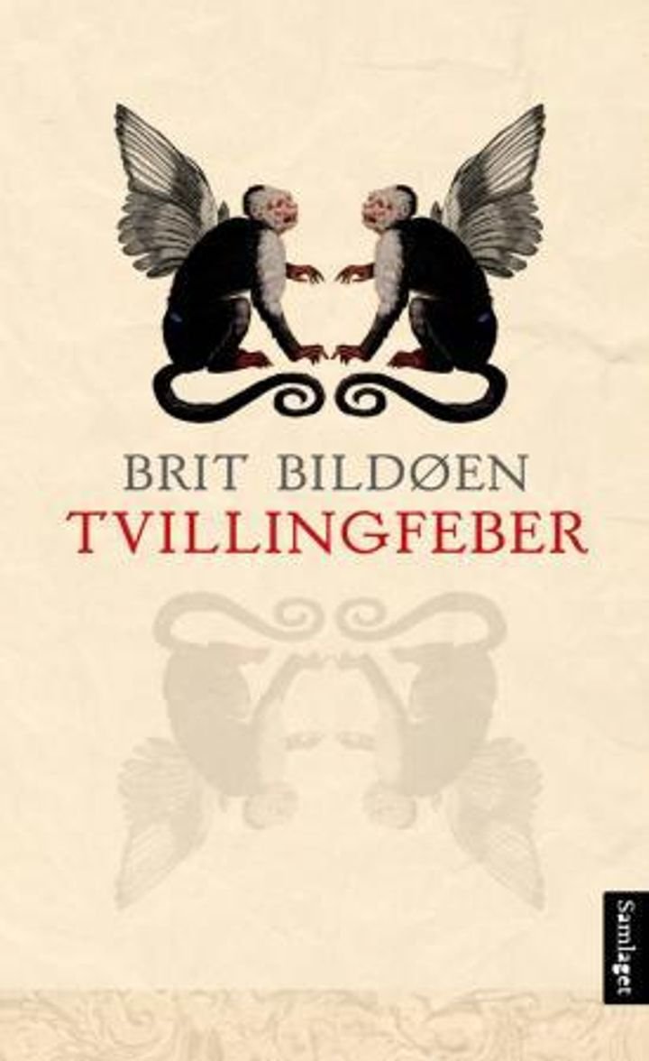 Tvillingfeber - roman