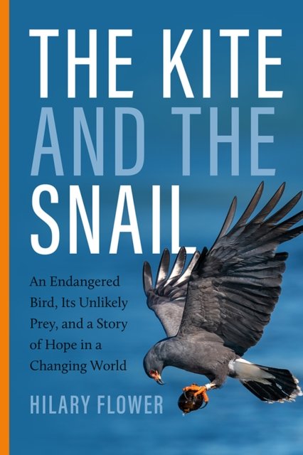 The Kite and the Snail