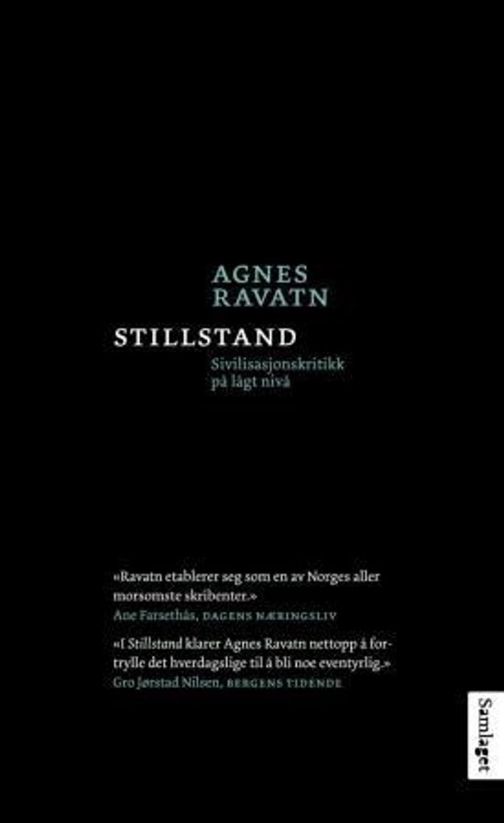 Stillstand - sivilisasjonskritikk på lågt nivå