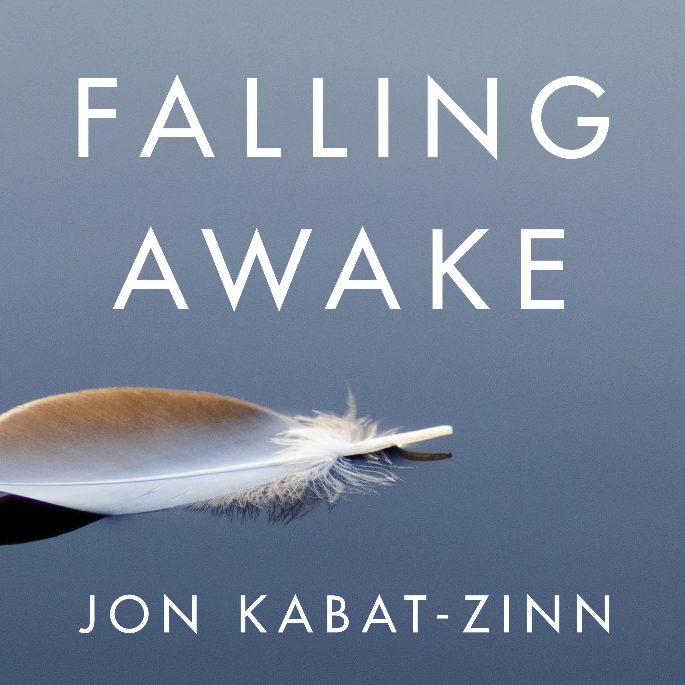 Falling Awake