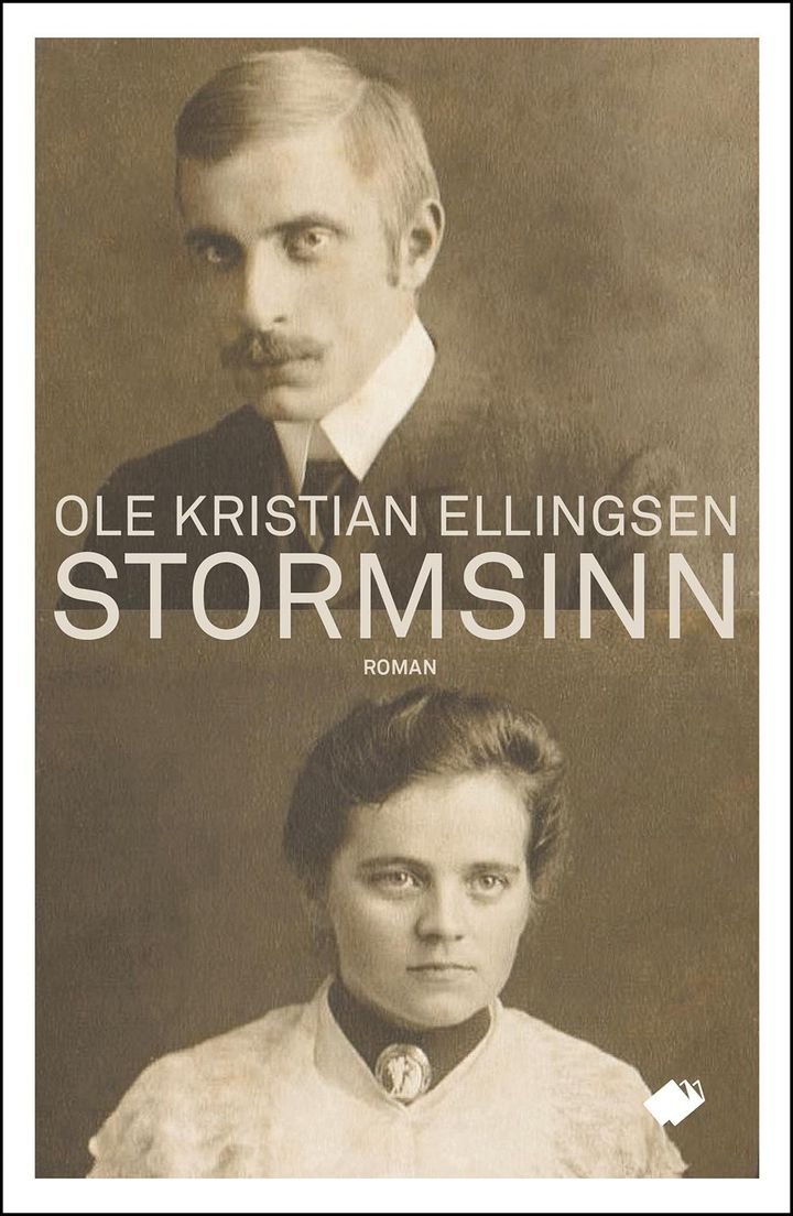 Stormsinn - roman