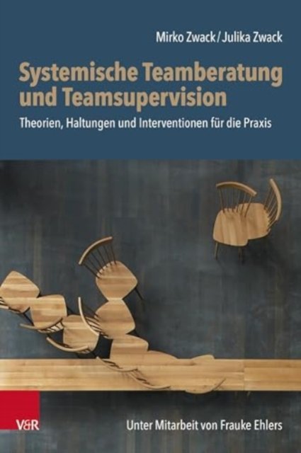 Systemische Teamberatung und Teamsupervision