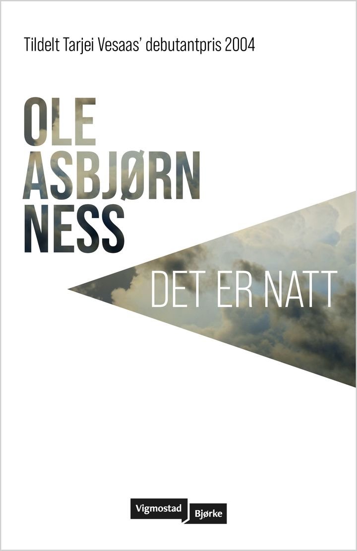 Det er natt - roman