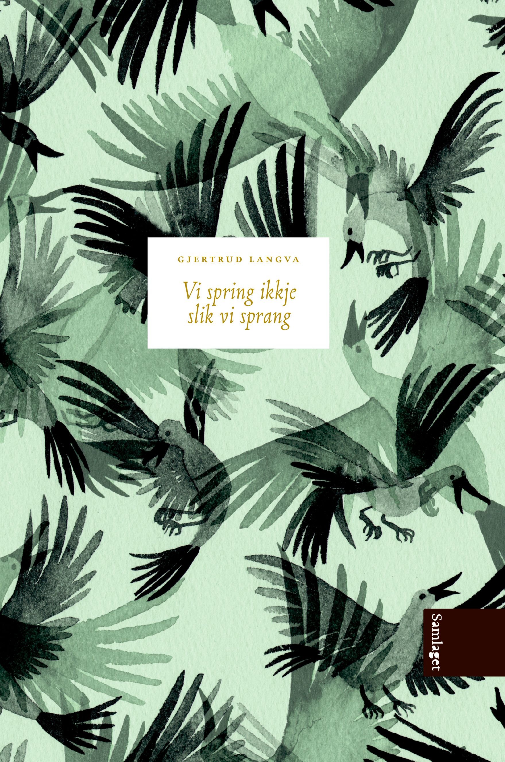 Vi spring ikkje slik vi sprang - roman
