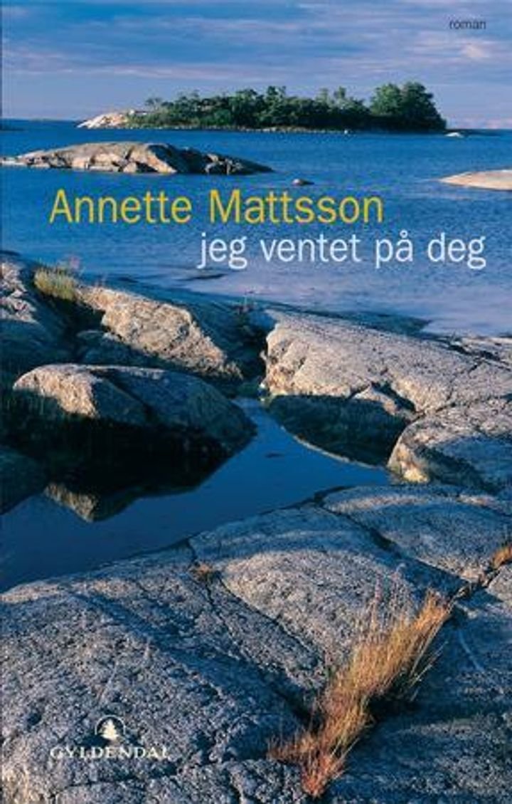 Jeg ventet på deg - roman