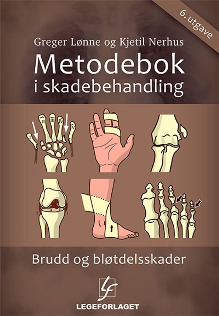 Metodebok i skadebehandling
