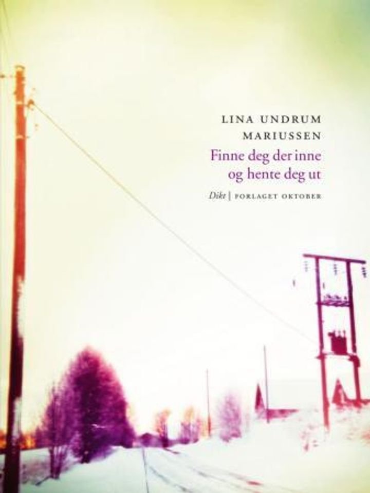 Finne deg der inne og hente deg ut - dikt