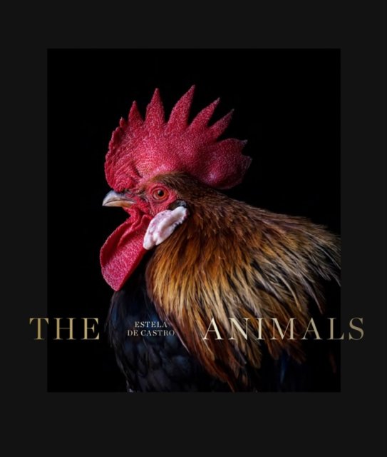 The Animals