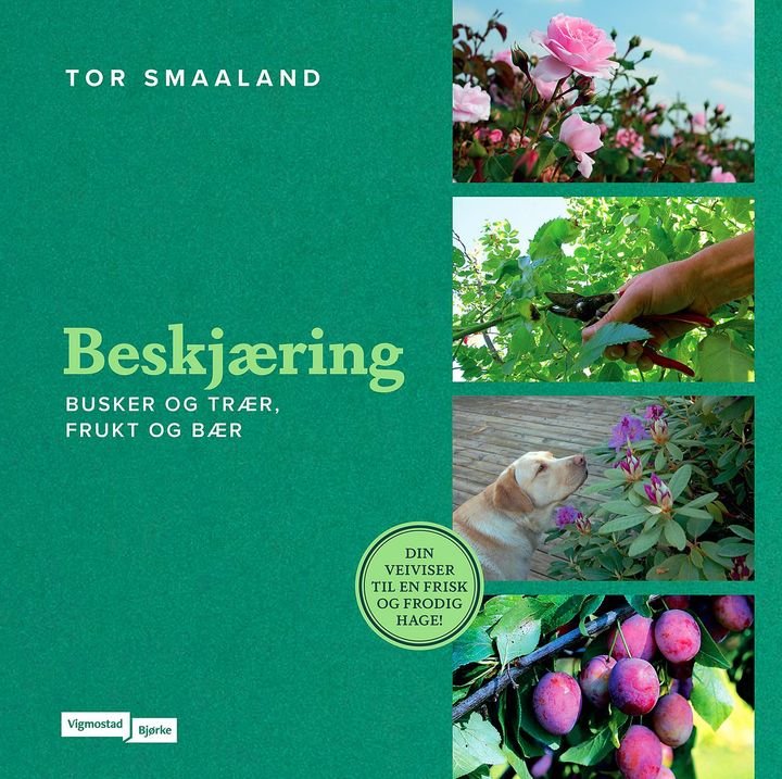 Beskjæring - av busker og trær, frukt og bær