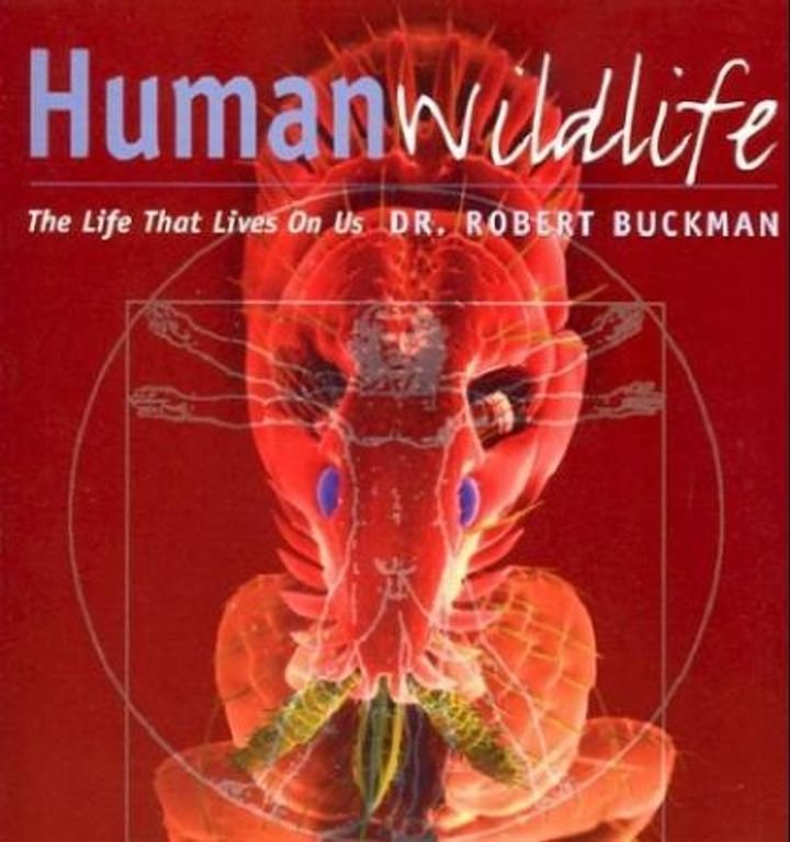 Human wildlife
