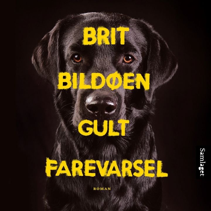 Gult farevarsel - roman