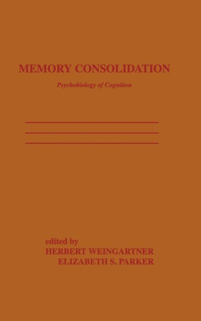 Memory Consolidation