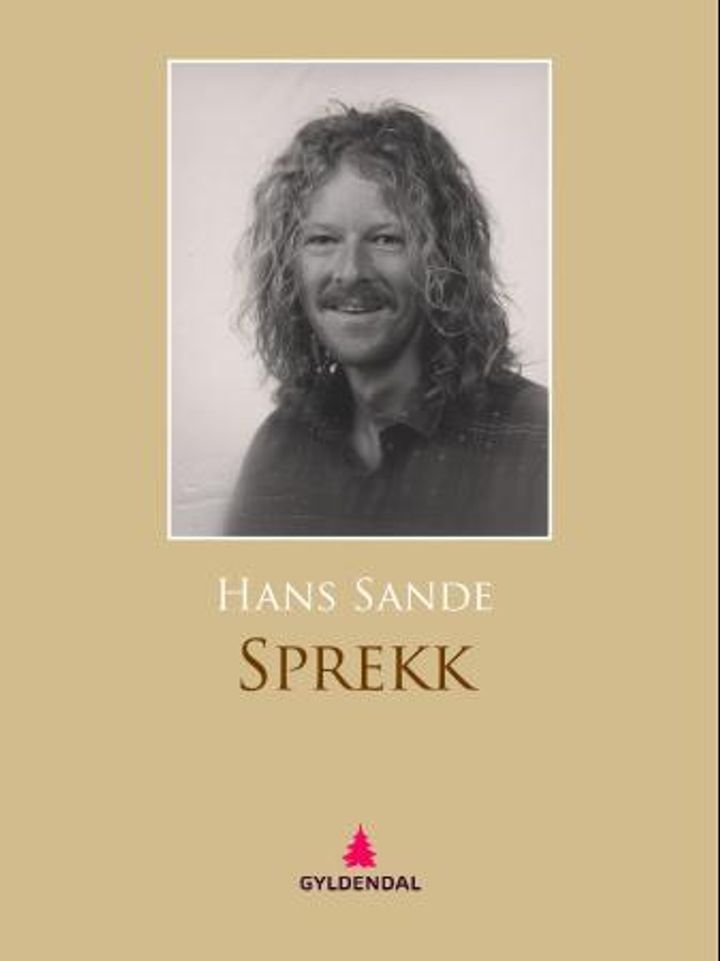 Sprekk - roman