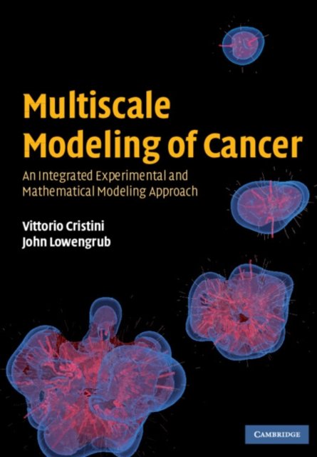 Multiscale Modeling of Cancer