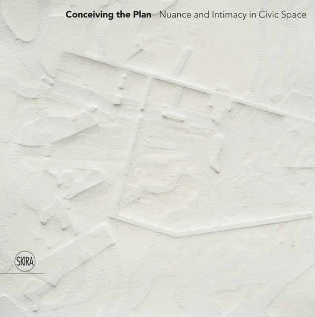 Conceiving the Plan