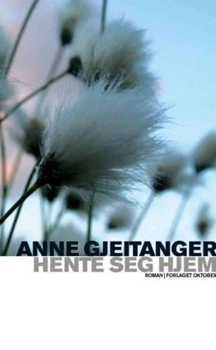 Hente seg hjem - roman