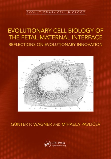Evolutionary Cell Biology of the Fetal-Maternal Interface
