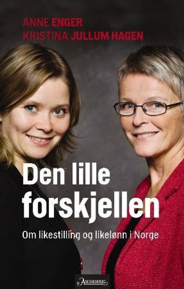 Den lille forskjellen - om likestilling og likelønn i Norge