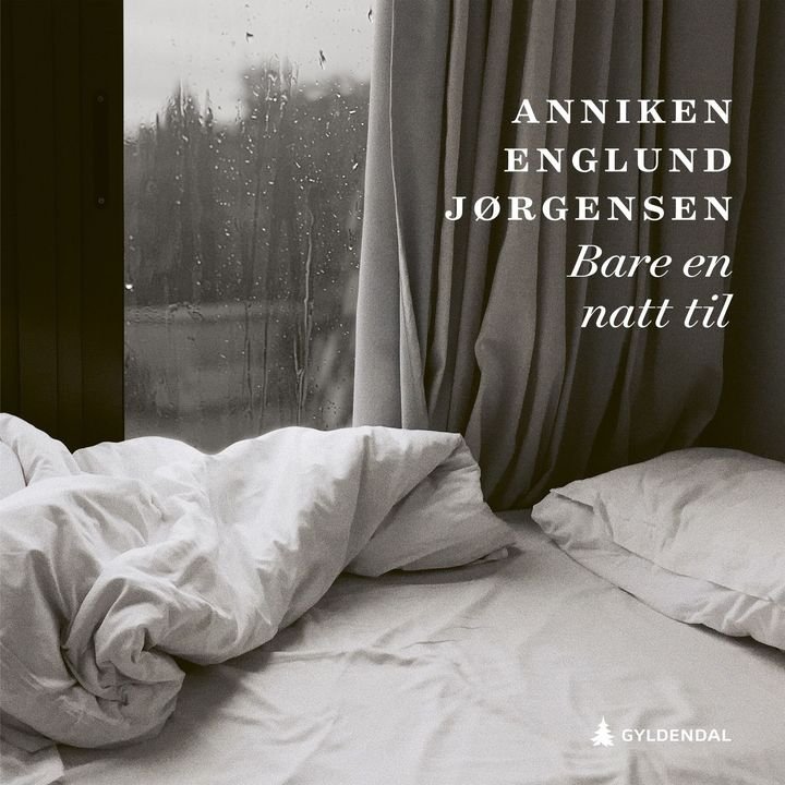 Bare en natt til - husker du din første kjærlighet?