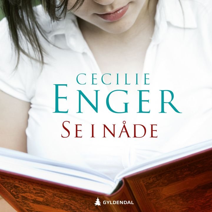 Se i nåde - roman