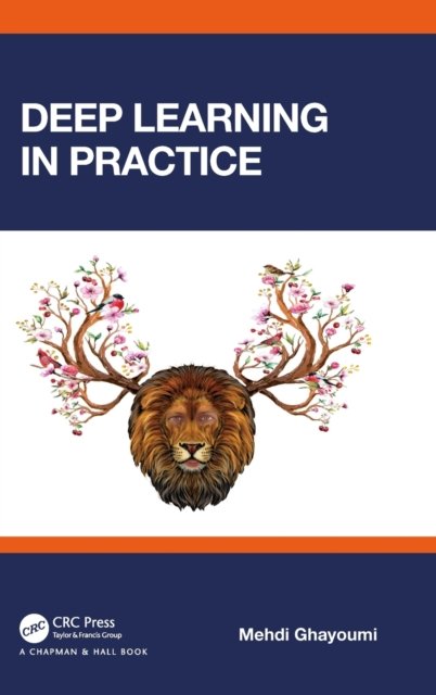 Deep Learning in Practice