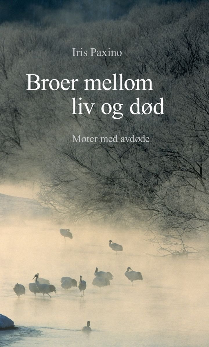 Broer mellom liv og død - møter med avdøde
