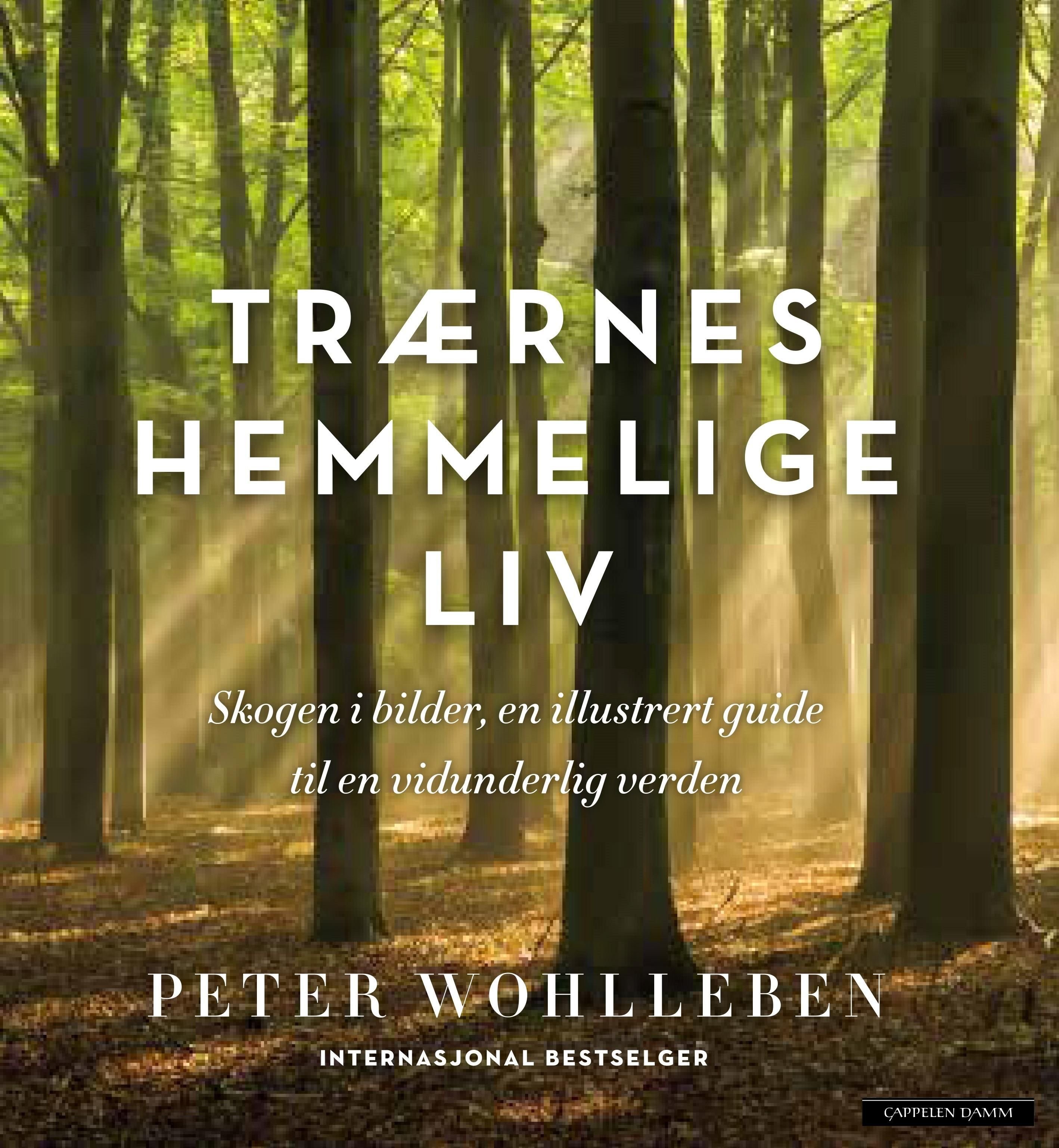 Trærnes hemmelige liv - skogen i bilder : en illustrert guide til en vidunderlig verden