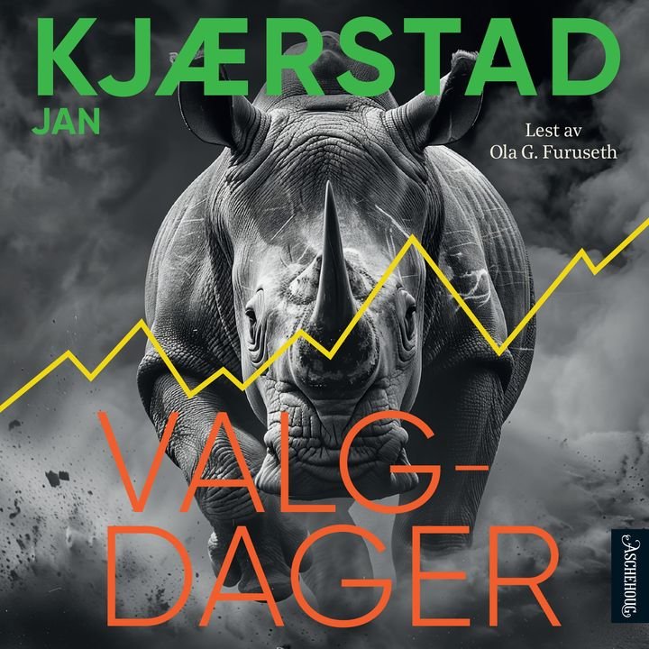 Valgdager - roman