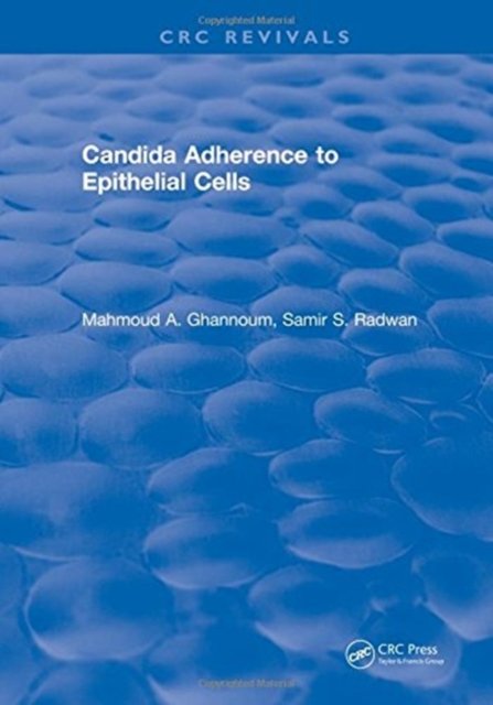 Candida Adherence to Epithelial Cells