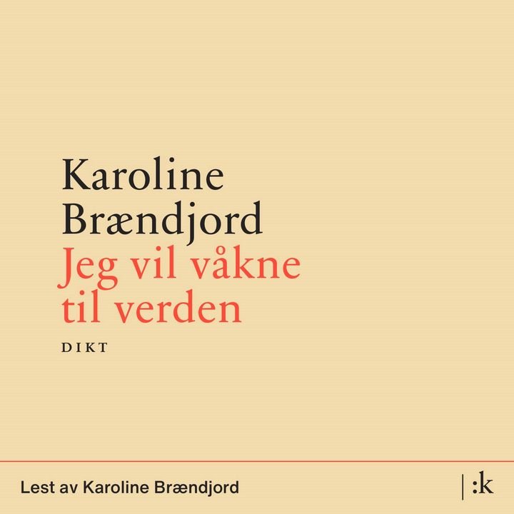 Jeg vil våkne til verden - dikt