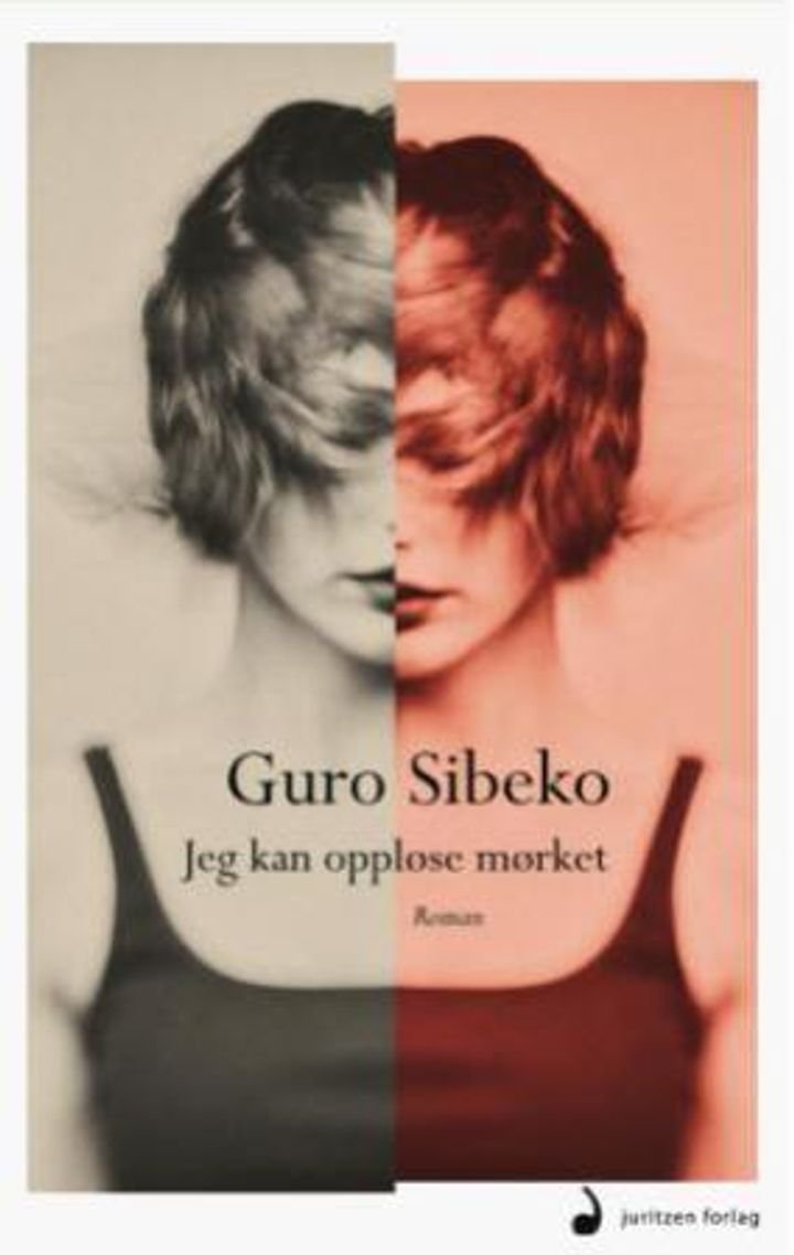 Jeg kan oppløse mørket - roman