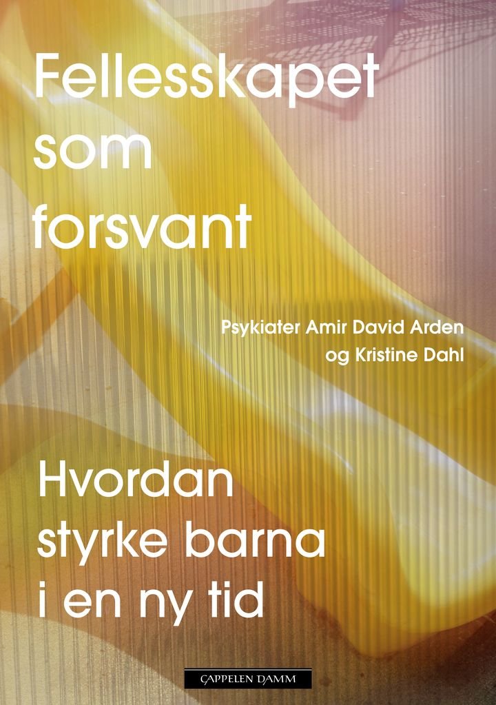 Fellesskapet som forsvant - hvordan styrke barna i en ny tid