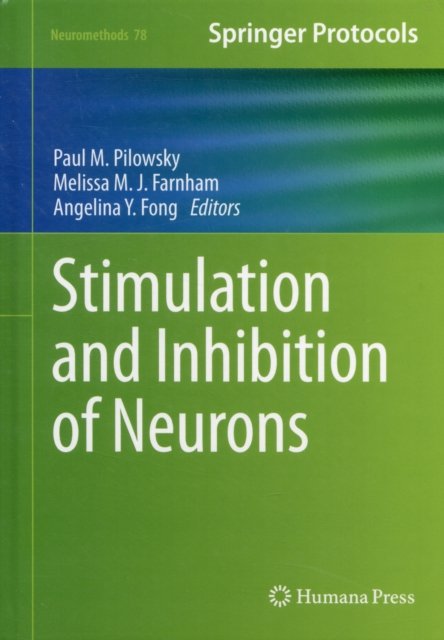Stimulation and Inhibition of Neurons