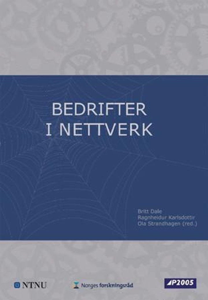 Bedrifter i nettverk