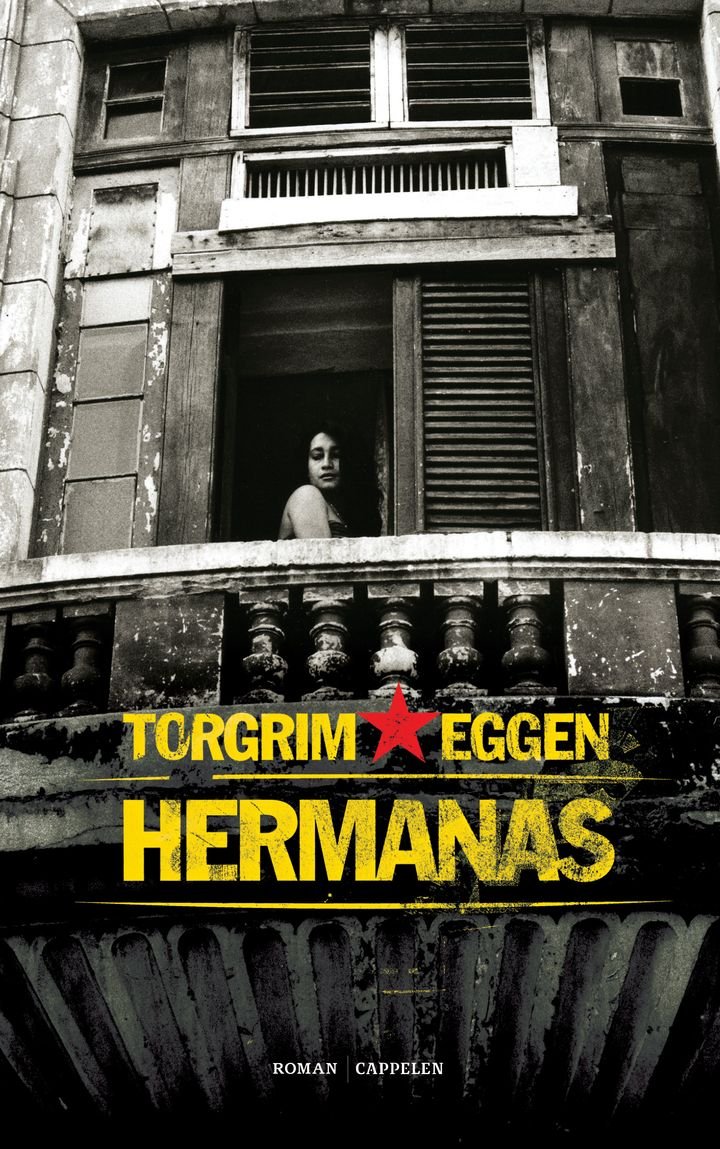Hermanas - roman