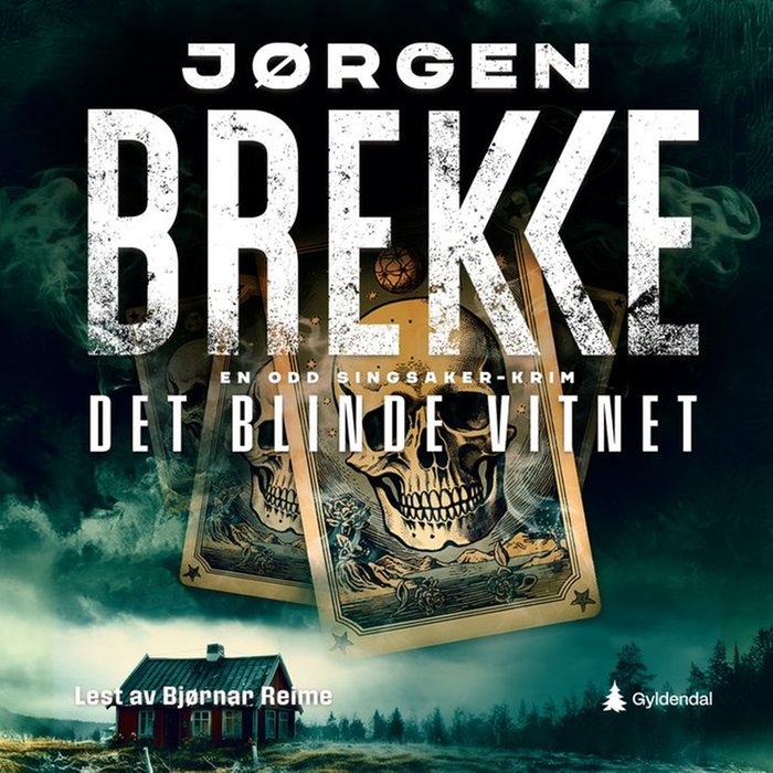 Det blinde vitnet