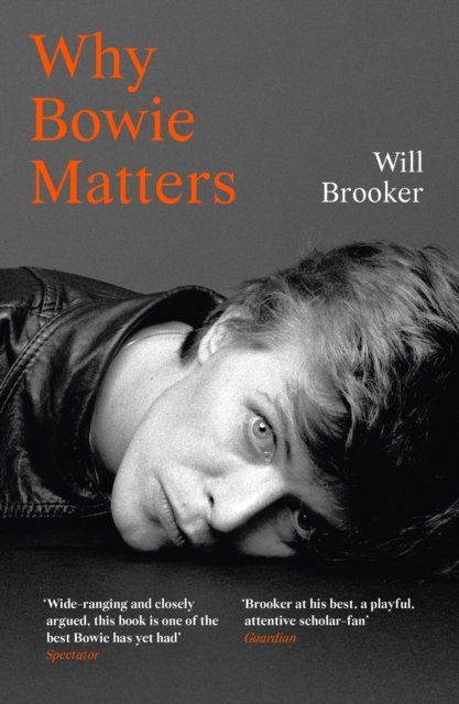 WHY BOWIE MATTERS PB
