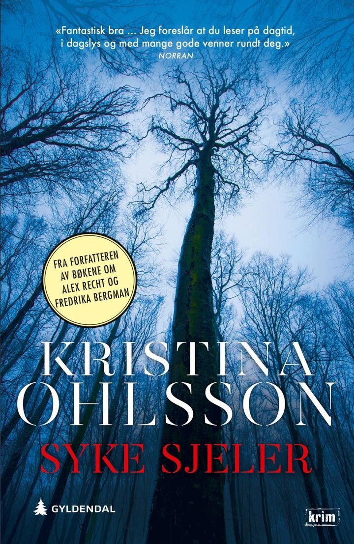 Syke sjeler av Kristina Ohlsson