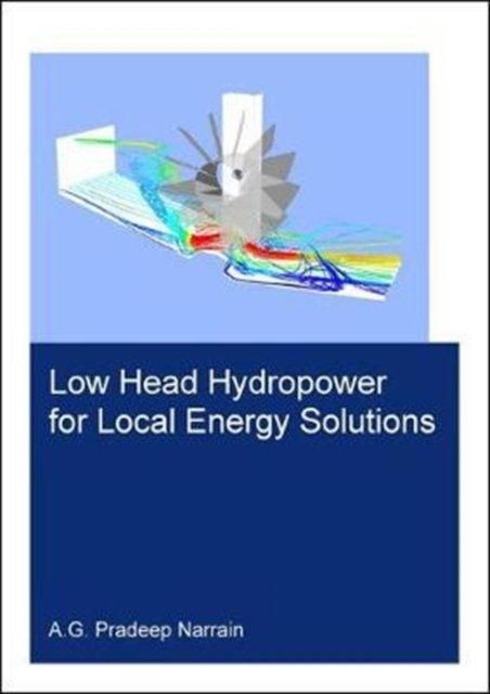 Low Head Hydropower for Local Energy Solutions