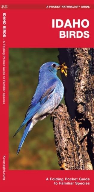 Idaho Birds
