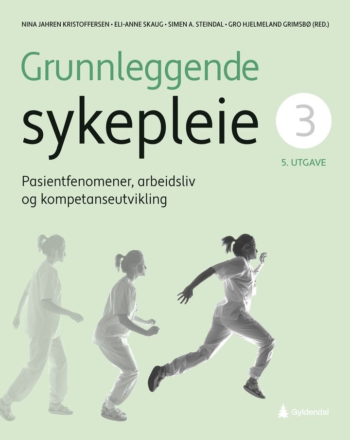 Grunnleggende sykepleie - 3 : Pasientfenomener, arbeidsliv og kompetanseutvikling