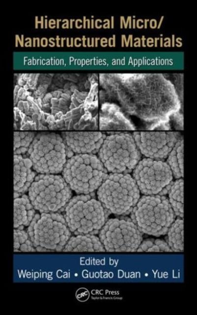 Hierarchical Micro / Nanostructured Materials